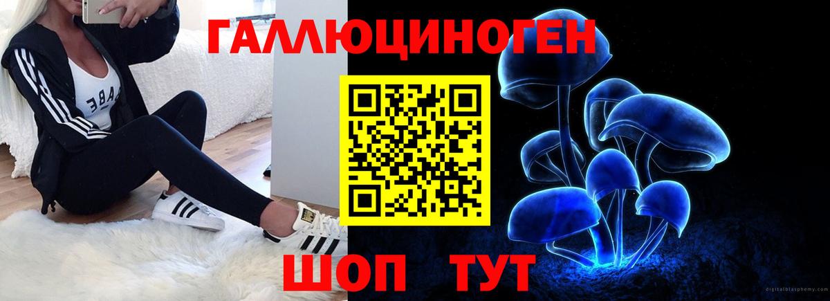 Псилоцибиновые грибы Psilocybe  Вход с VPN  Ангарск 